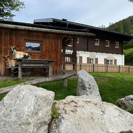 Appartements Zahnleiten Untertauern Exterior photo