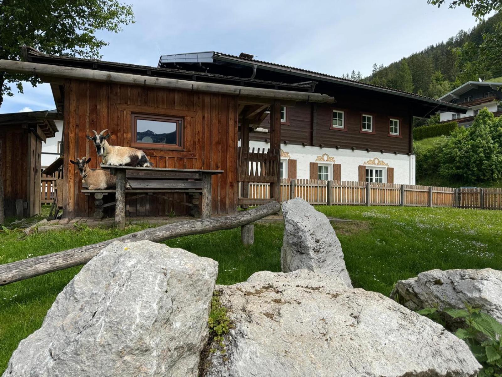 Appartements Zahnleiten Untertauern Exterior photo
